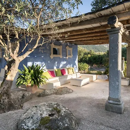 Art House Lejlighed *