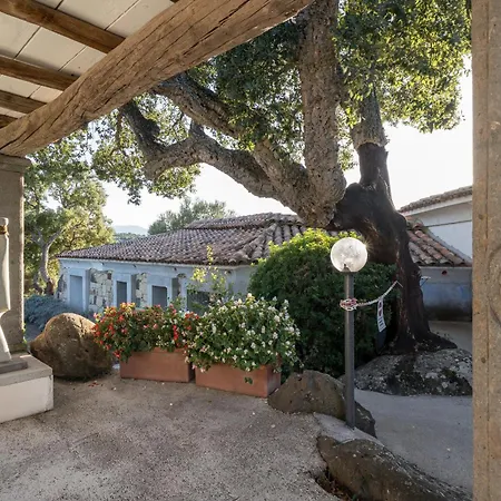 Apartment Art House Dorgali